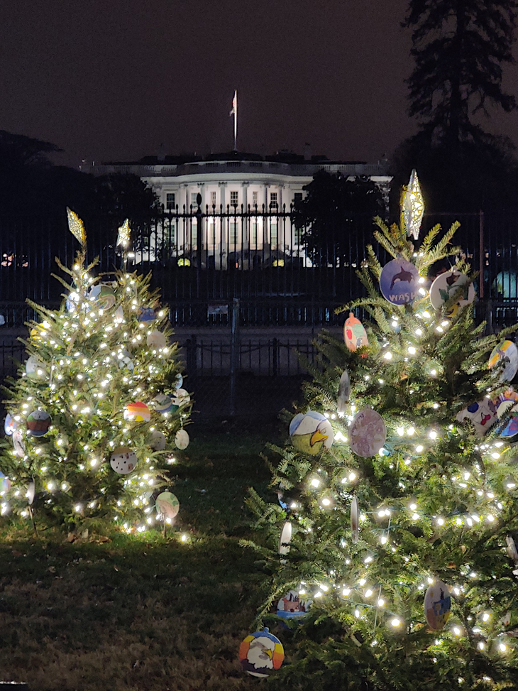 【ワシントンDC】ナショナル・クリスマスツリー2021 地球の歩き方